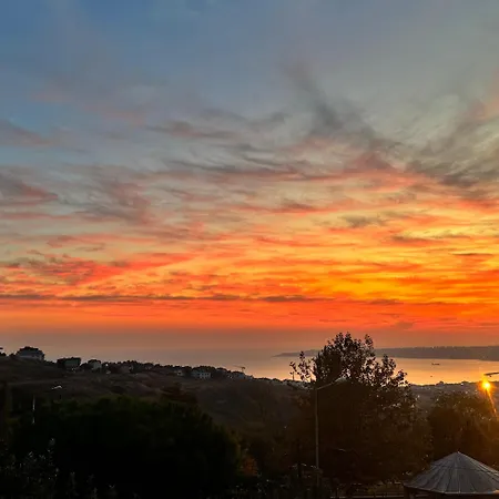 Hotel Doga *